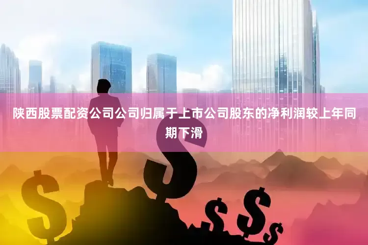 陕西股票配资公司公司归属于上市公司股东的净利润较上年同期下滑
