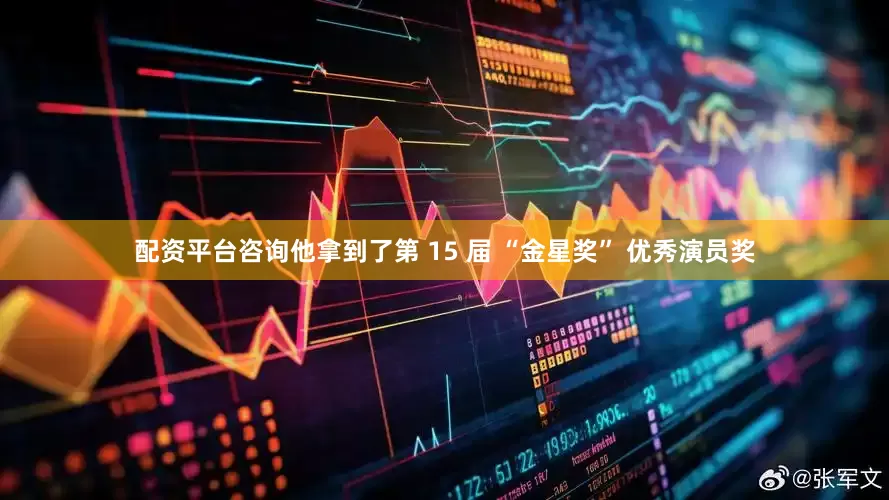 配资平台咨询他拿到了第 15 届 “金星奖” 优秀演员奖