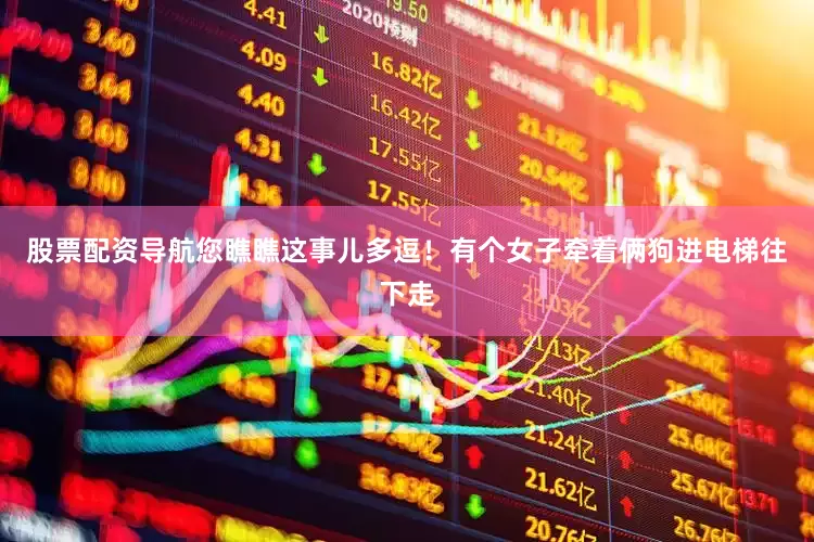 股票配资导航您瞧瞧这事儿多逗！有个女子牵着俩狗进电梯往下走