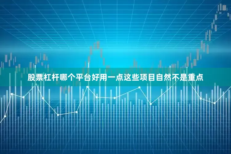 股票杠杆哪个平台好用一点这些项目自然不是重点