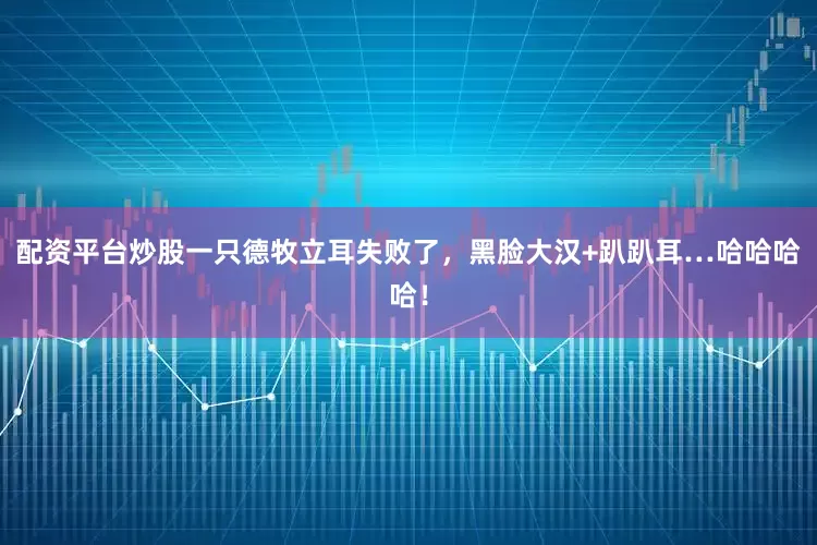 配资平台炒股一只德牧立耳失败了，黑脸大汉+趴趴耳…哈哈哈哈！